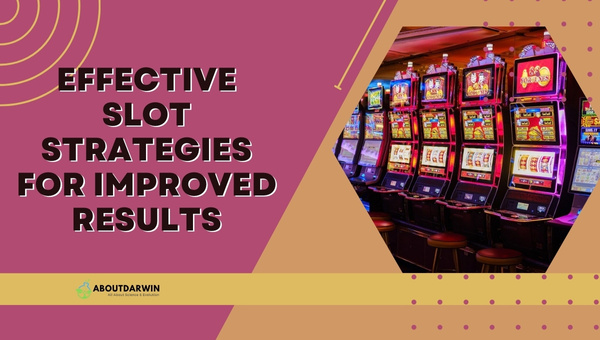 Effective Slot Strategies for Improved Results - Loosest Slots in Vegas