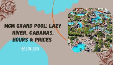 MGM Grand Pool: Lazy River, Cabanas, Hours & Prices