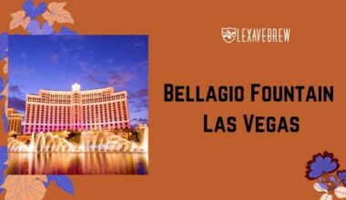 Bellagio Fountain Las Vegas: Best Places and Hours to See